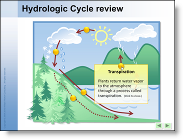 Hydrologic Cycle review